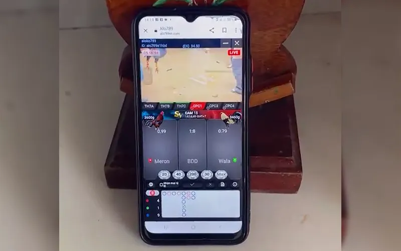 Người chơi theo dõi trận đá gà Thomo trực tuyến ngay tại nhàXem đá gà trực tuyến Thomo trên điện thoại